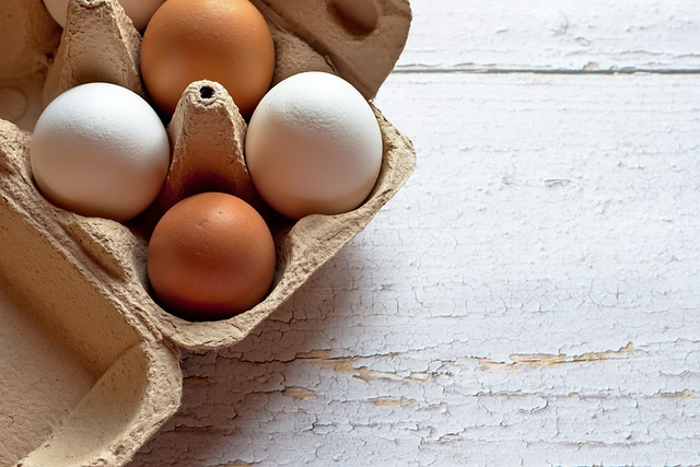 Comment faire pour conserver des œufs ?